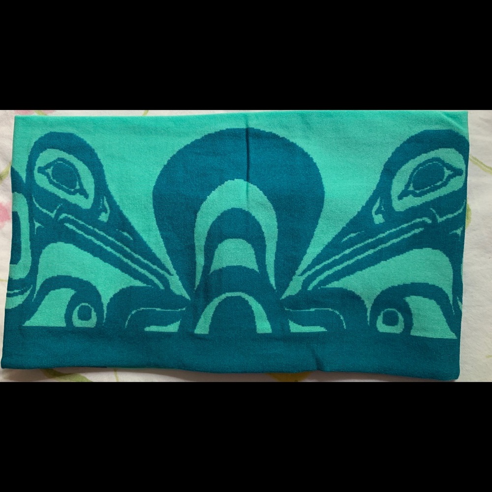 Native Northwest Art Headband